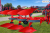 2609 IBIS LS po pokazach.png