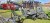 20261015_124118_resized.jpg