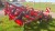 Horsch terrano 3FX (5).jpeg