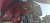 20261027_102838_resized.jpg