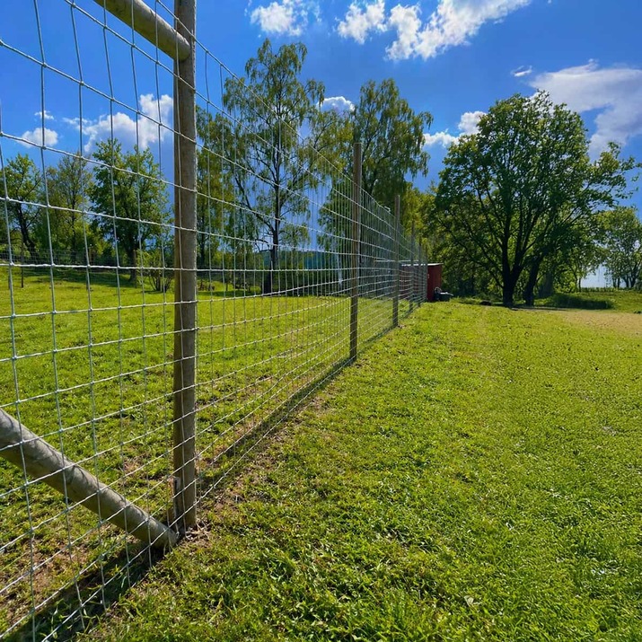 Płot przeciw dzikiej zwierzynie